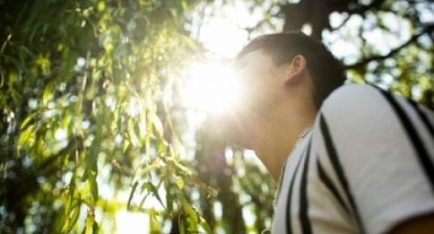 Thiếu niên Việt trồng cần sa ở Anh: Cây quý hơn mạng tôi