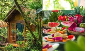 Gia đình người Úc 'bỏ phố về rừng' để biến cuộc sống trong mơ thành hiện thực