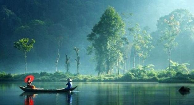 Người không tranh giành không phải người ngốc mà là người có phúc