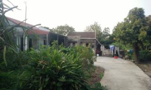Vụ 39 người Việt tử nạn tại Anh: Gia đình nạn nhân ở Hải Phòng mòn mỏi chờ đón...