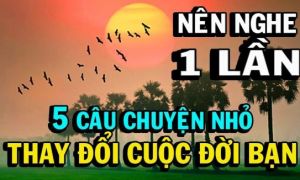 Những câu chuyện nhỏ vô cùng cảm động
