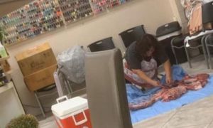 Mỹ: Kinh hãi thợ nail Việt xẻ thịt nai ngay trong tiệm móng