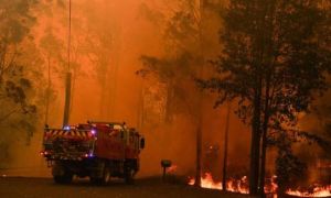 Lính cứu hỏa Mỹ đến Sydney ‘vừa kịp lúc’ tiếp sức trước dự báo nóng 40 độ và...