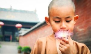 Vì sao gây khẩu nghiệp lại hại đến cả kiếp sau?