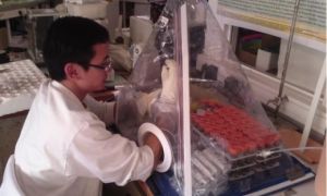 Khoản vay 2.000 Euro và những đêm rửa bát thuê của giáo sư Việt 31 tuổi