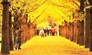 8 bài học để sống tử tế hơn với bản thân: 2020 khởi đầu của một thập kỷ, hãy...