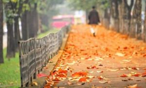 Có một loại khuyết điểm gọi là cố tranh luận với người bất đồng tầng thứ