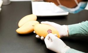 Mẹo giữ trái cây săn chắc, mọng nước và không bị mốc trong suốt 14 ngày chỉ...