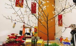 Lao động Việt xứ người ăn Tết trong nghẹn ngào