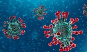 Virus viêm phổi Vũ Hán: Nhật Bản cô lập thành công chủng virus corona mới, sẵn...