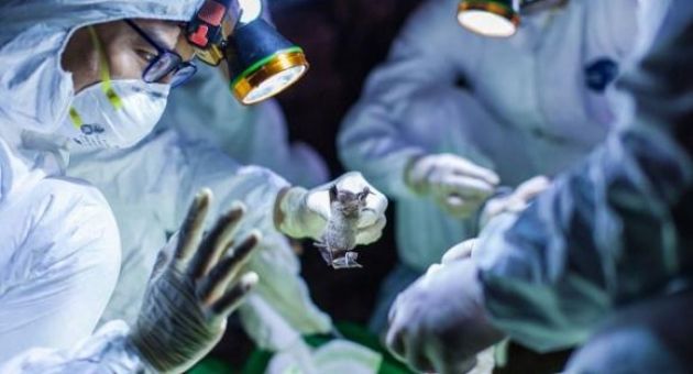 Mỹ xác nhận trường hợp đầu tiên tử vong vì nhiễm virus corona