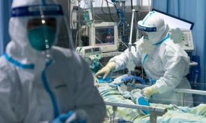 Giới khoa học Trung Quốc tiết lộ bất ngờ về nguồn gốc virus corona