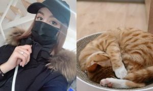 Cô gái ở lại tâm dịch Vũ Hán vì không muốn bỏ lại mèo cưng