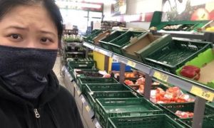 /thumb/thumb.php?src=images/stories/content/2020/03/20/42_1_toi-chon-o-lai-duc-an-toan-viet-nam-cung-an-toan-chi-co-hanh-trinh-ve-la-nguy-hiem.jpg&w=300&h=180&zc=1&q=80&a=c