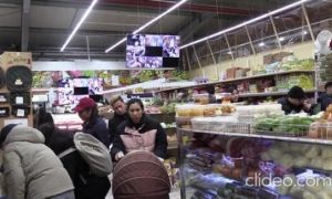 Chống dịch Covid-19 như người Việt tại Đức