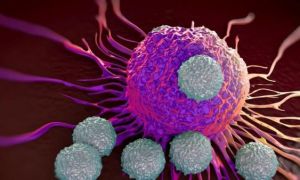Phát hiện cho thấy virus mới hoạt động tương tự HIV