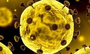 Nóng: Chính thức tìm ra nhiệt độ khiến virus corona bị tiêu diệt hoàn toàn