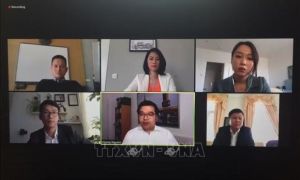 Hội thảo trực tuyến người Việt tại Đức giữa tâm bão COVID-19