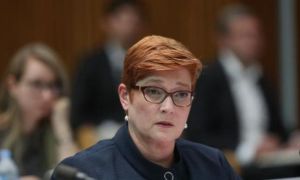 Úc yêu cầu điều tra quốc tế về nguồn gốc virus corona