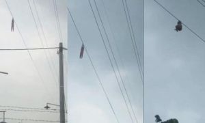 Nghe thấy tiếng trẻ con la hét từ trên không trung, người dân ngước lên thì...