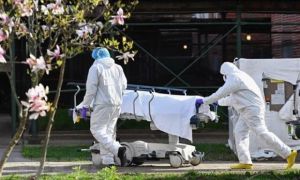 ‘Virus SARS-CoV-2 tới New York từ châu Âu, không phải Trung Quốc‘