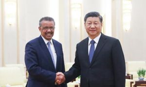 Bắc Kinh không cho WHO tham gia điều tra nguồn gốc virus corona