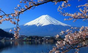 Du khách có thể được giảm 50% chi phí khi đến Nhật Bản