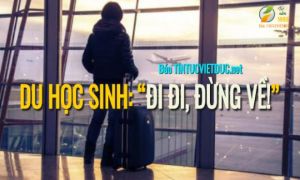 Bài viết “Du học sinh: Đi đi, đừng về“ gây tranh cãi MXH: Bố mẹ và dì đều...