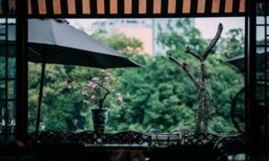 Bán nhà tiền tỷ cho con, cuối đời mẹ mất trong ân hận