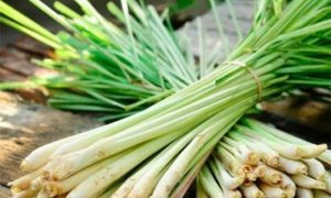 10 tác dụng của củ sả với sức khỏe và làm đẹp