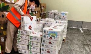 Vải thiều Việt Nam “cháy hàng” ngay trong ngày đầu tiên mở bán tại Nhật