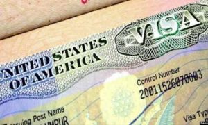 Mỹ sẽ ngưng cấp visa lao động hết năm nay