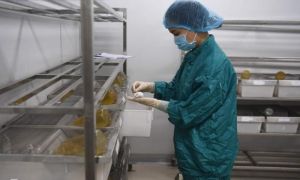 Vaccine Covid-19 Việt Nam được nghiên cứu như thế nào?