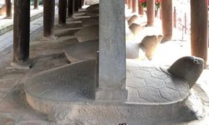 Việt Nam: Trí thức thế này sao xã hội không trì trệ?
