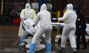 WHO: Thế giới trải qua ngày có số ca Covid-19 cao chưa từng thấy