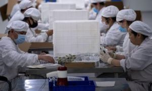 Khi nào vaccine Trung Quốc được tung ra thị trường?