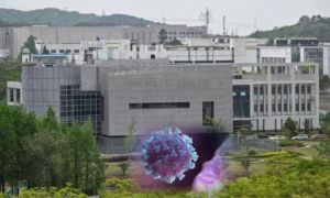 Mỹ tìm bằng chứng bệnh nhân đầu tiên và SARS-CoV-2 bắt nguồn từ Viện Virus học...