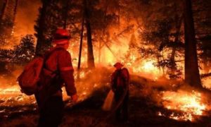 Hàng chục vụ cháy lớn tại California, Tổng thống Trump tuyên bố tình trạng...
