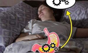 Điều gì xảy ra khi đi ngủ ngay sau bữa ăn?