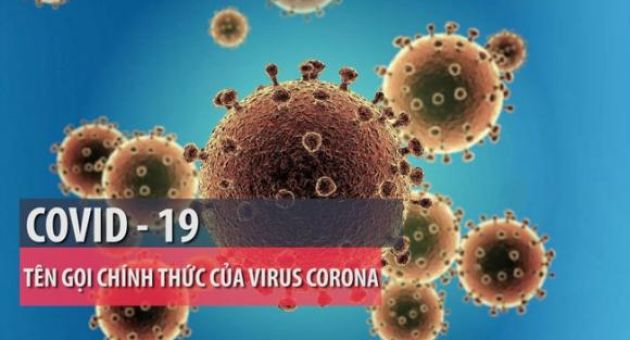Nóng: Tìm ra chất có khả năng vô hiệu hóa hoàn toàn Covid-19
