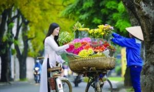 Hà Nội, Thu rồi phải không?