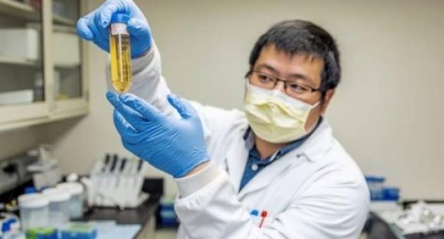 Phát hiện kháng thể vô hiệu hóa hoàn toàn virus gây Covid-19