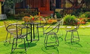 Du học trở về, hành động của con trai khiến mẹ tức nghẹn