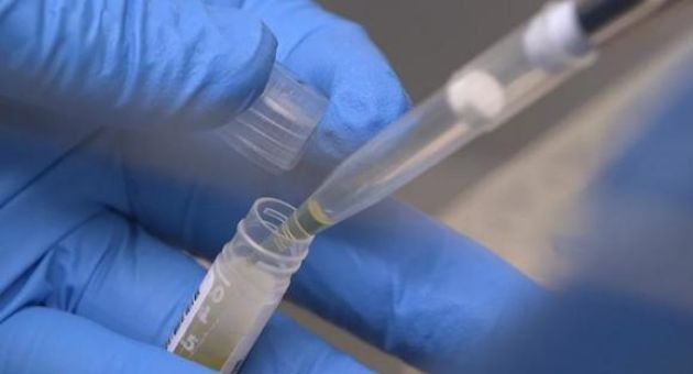 Phát hiện biến chủng virus SARS-CoV-2 có khả năng lây lan mạnh hơn?