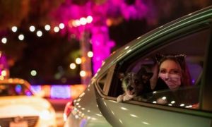 Chuyên gia cảnh báo COVID-19 và cúm sẽ là 'cặp song sát' vào mùa đông sắp tới...