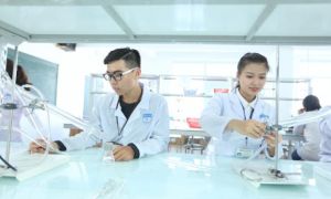 Điều dưỡng viên cần biết khi muốn sang Đức làm việc