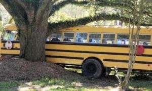 Mỹ: Bé 11 tuổi trộm xe buýt gây tai nạn liên tiếp