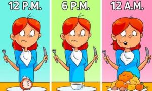 Tại sao không nên đợi tới lúc đói mới ăn?