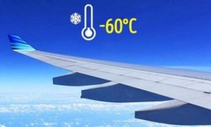 7 mẹo chỉ người đi máy bay thường xuyên mới biết