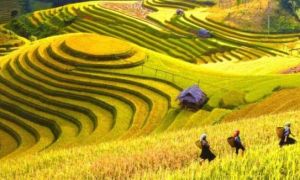 Việt Nam ngoạn mục giành giải ''Oscar du lịch''